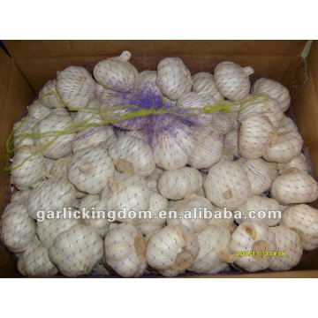 fresh pure white garlic price